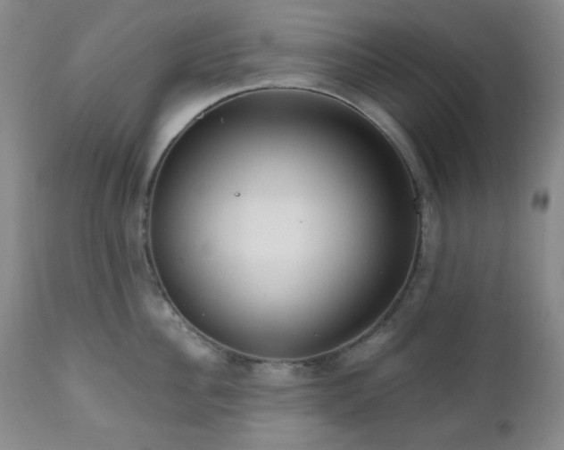 X0000111020956200906191649