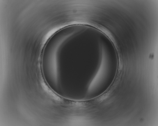 X0000111020958200906191649