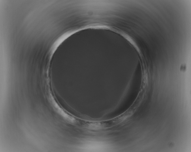 X0000111020959200906191649