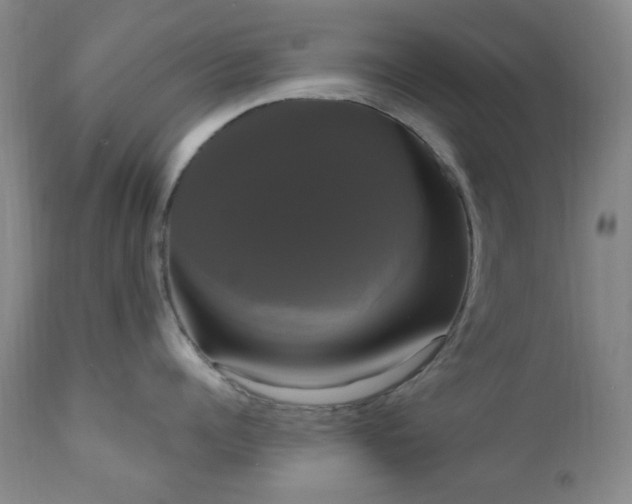 X0000111020960200906191649