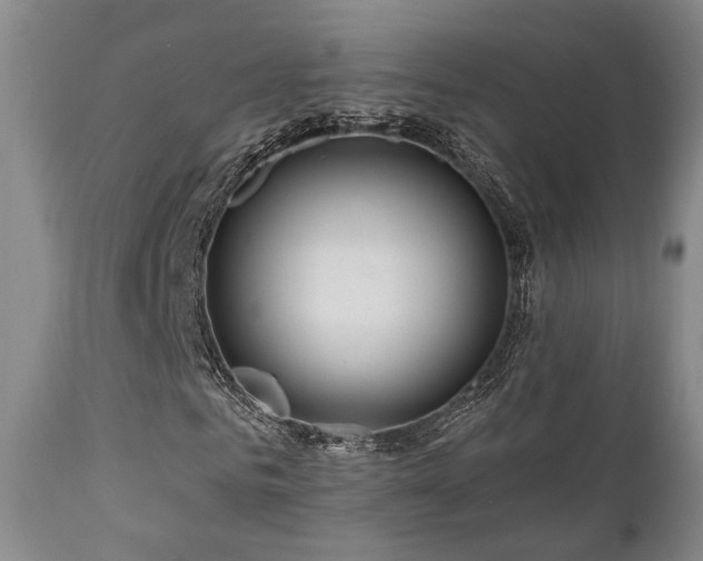 X0000111020961200906191648