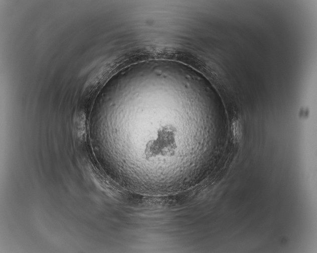 X0000111020963200906191648