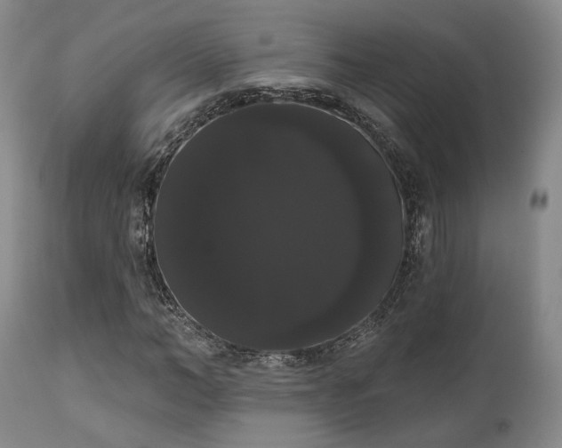 X0000111020966200906191648