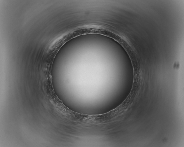 X0000111020967200906191648