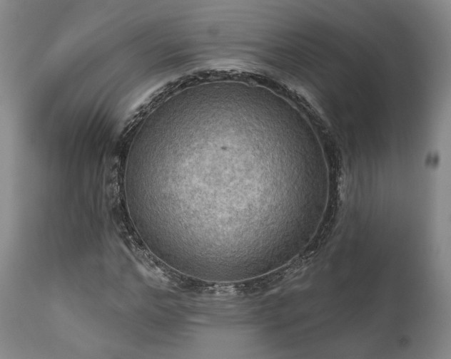 X0000111020968200906191648