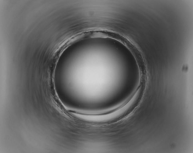 X0000111020969200906191648