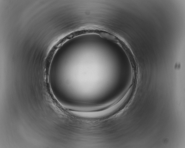X0000111020973200906191648