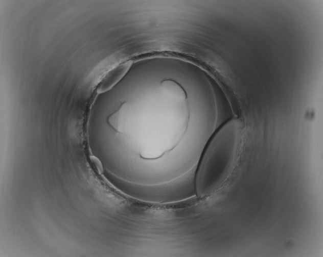 X0000111020977200906191648