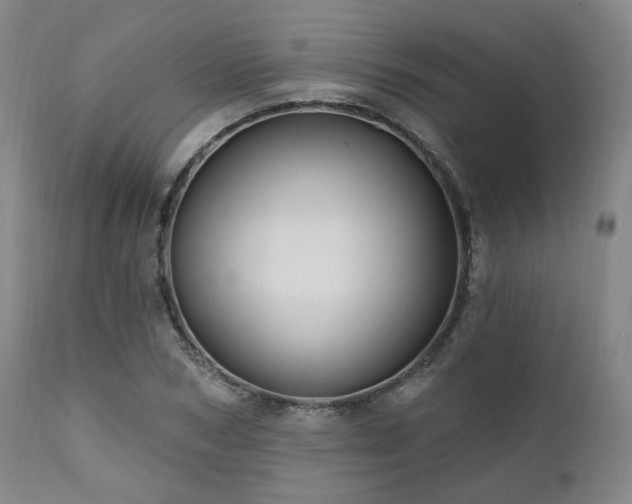 X0000111020978200906191648