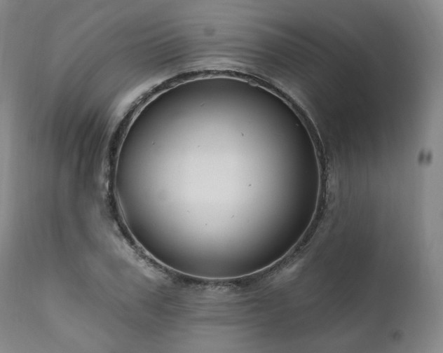 X0000111020979200906191648