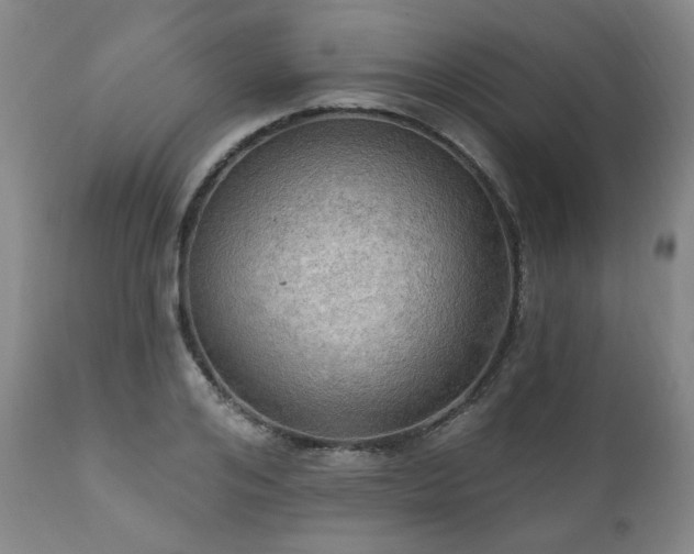 X0000111020984200906191648