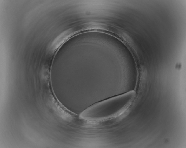 X0000111020985200906191648