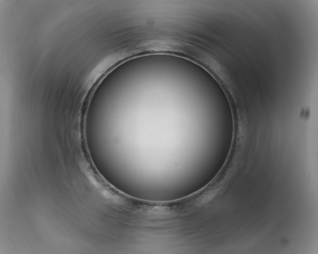 X0000111020986200906191648