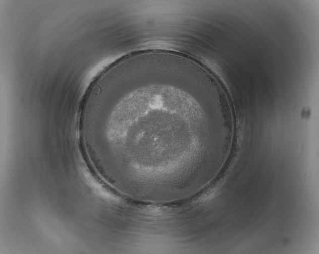 X0000111020987200906191648