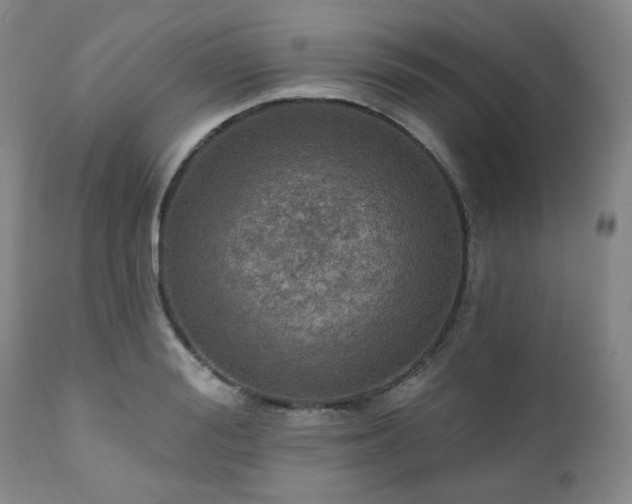 X0000111020988200906191648