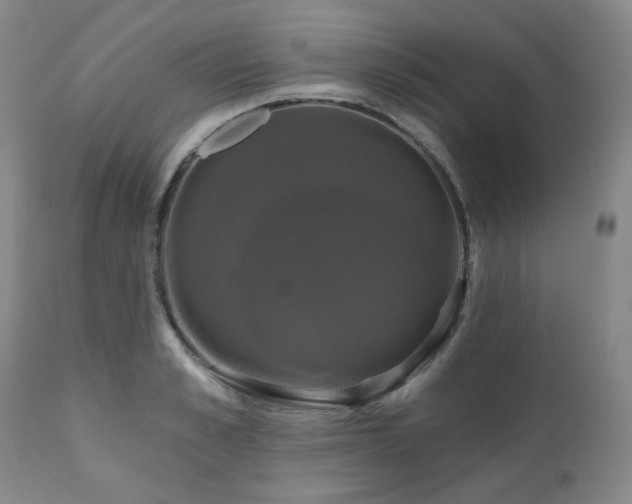 X0000111020989200906191648