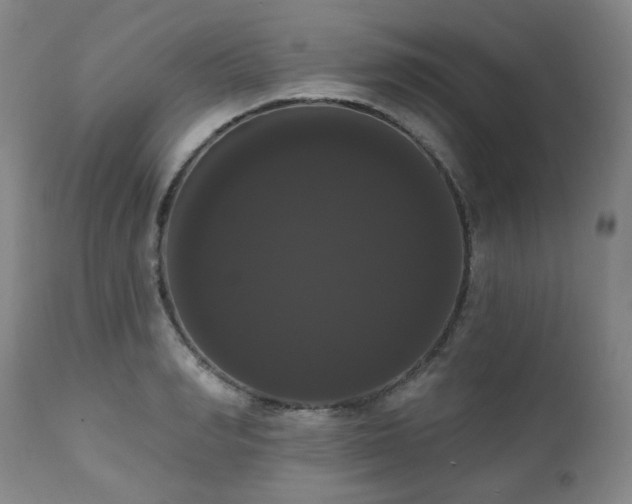 X0000111020990200906191648