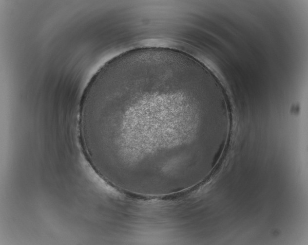 X0000111020992200906191648