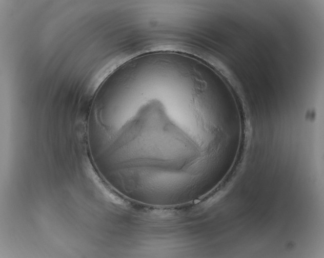 X0000111020993200906191648
