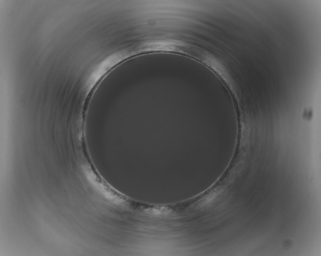 X0000111020994200906191648