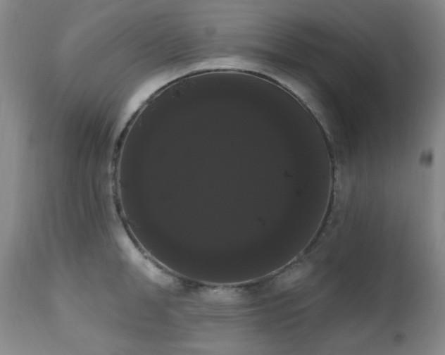 X0000111020998200906191648