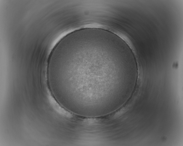 X0000111021000200906191648