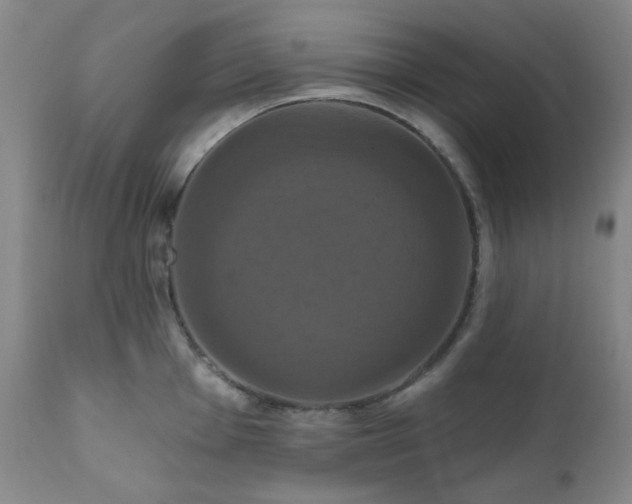 X0000111021001200906191648