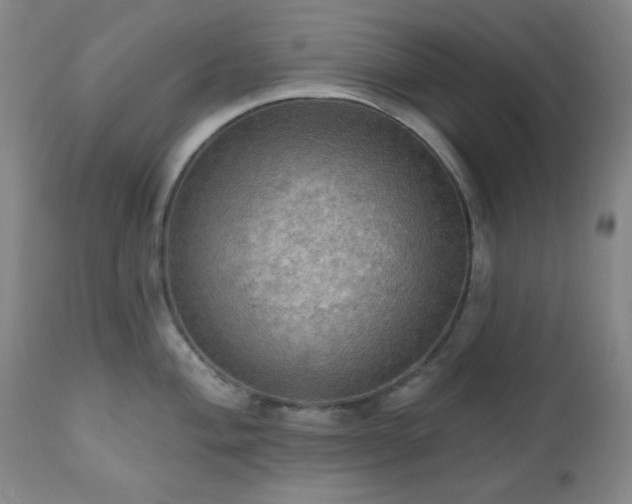 X0000111021004200906191648