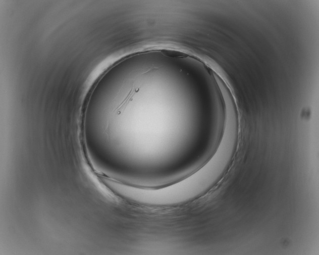 X0000111021005200906191648