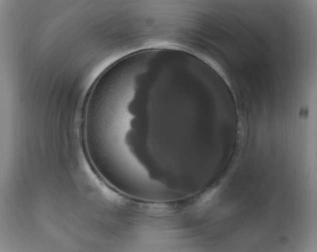 X0000111021007200906191648