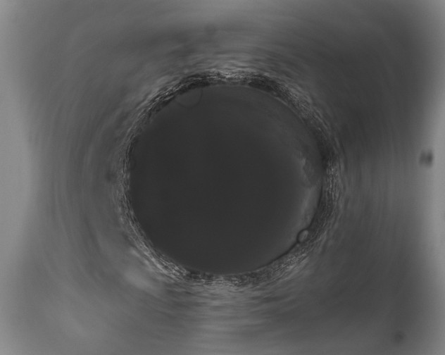 X0000111021009200906191647