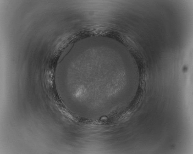X0000111021010200906191647
