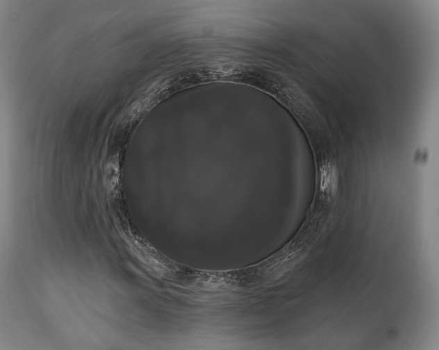 X0000111021011200906191647