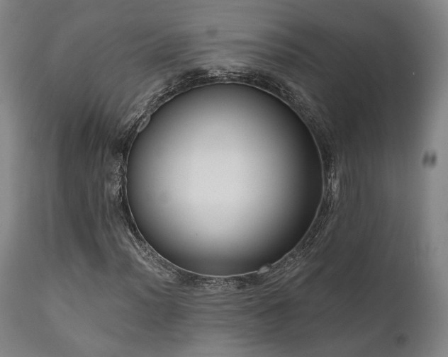 X0000111021012200906191647