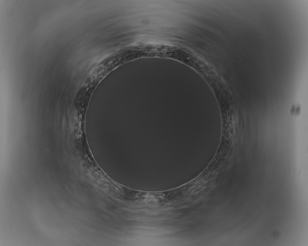 X0000111021013200906191647
