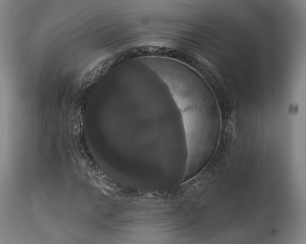 X0000111021014200906191647