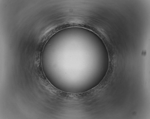 X0000111021015200906191647