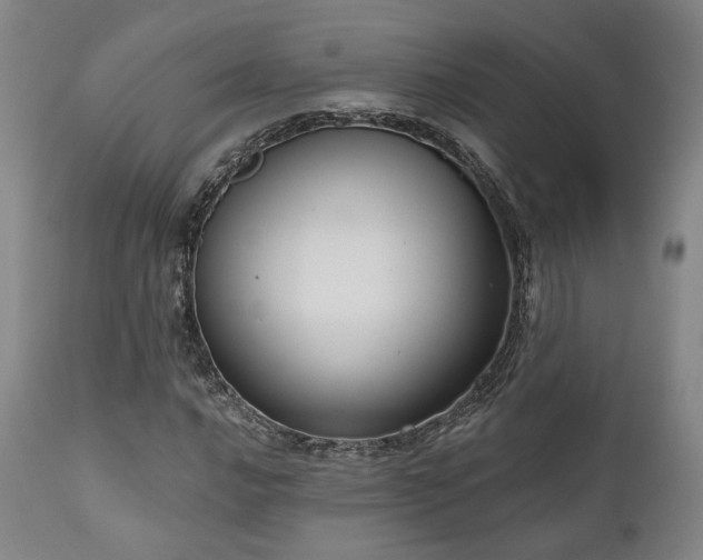 X0000111021016200906191647
