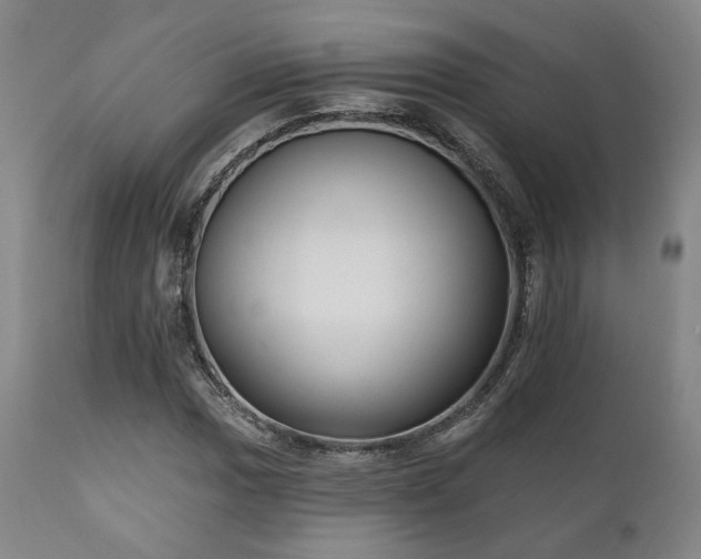 X0000111021017200906191647