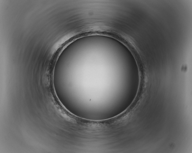 X0000111021018200906191647