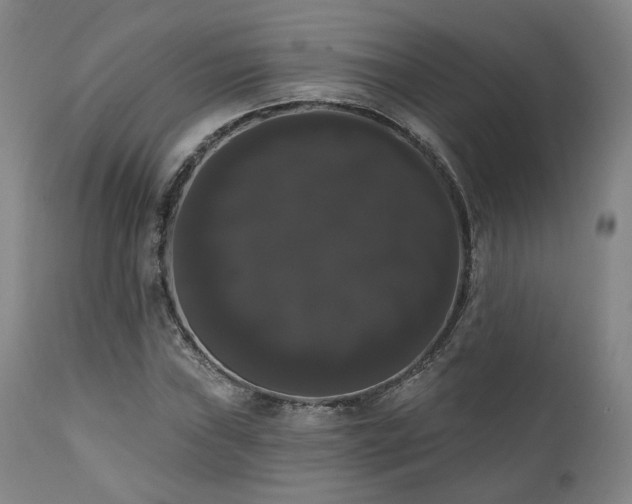 X0000111021019200906191647