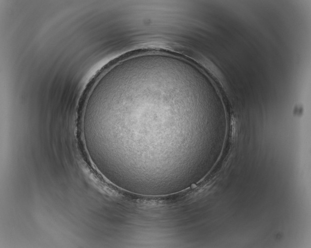 X0000111021020200906191647
