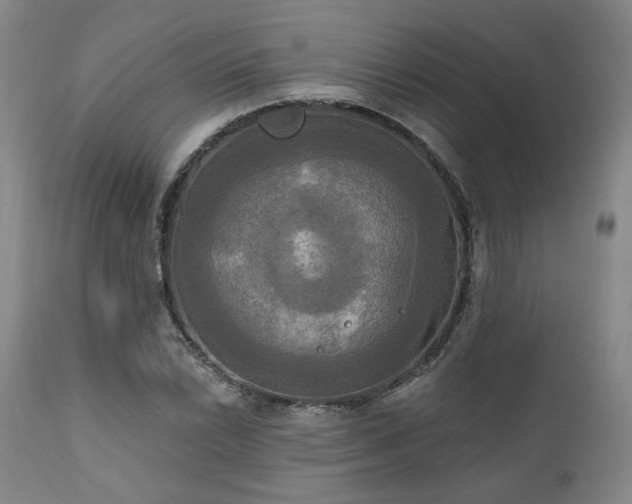 X0000111021022200906191647