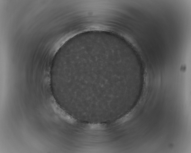 X0000111021025200906191647