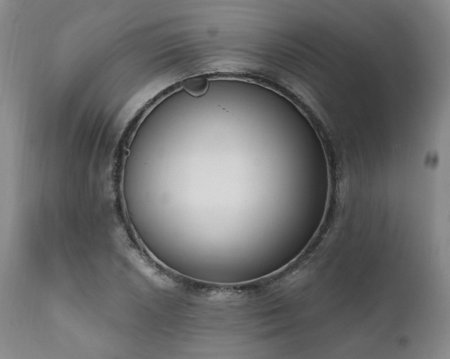 X0000111021026200906191647