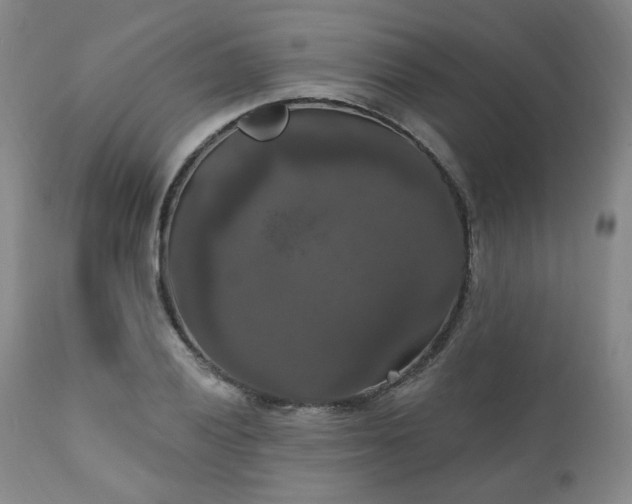 X0000111021028200906191647