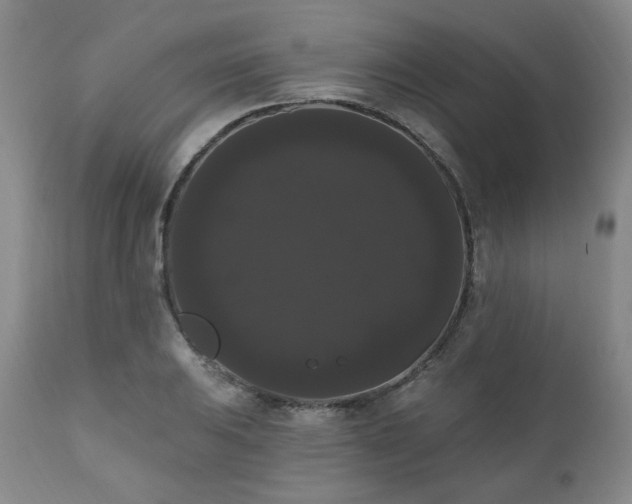 X0000111021031200906191647