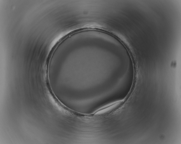 X0000111021032200906191647