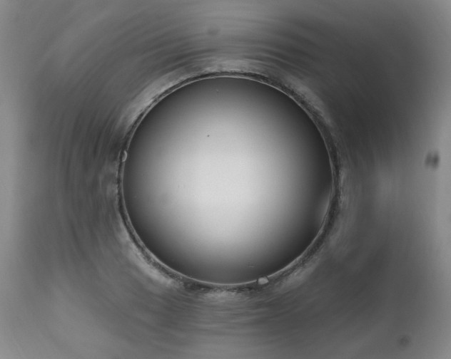 X0000111021033200906191647