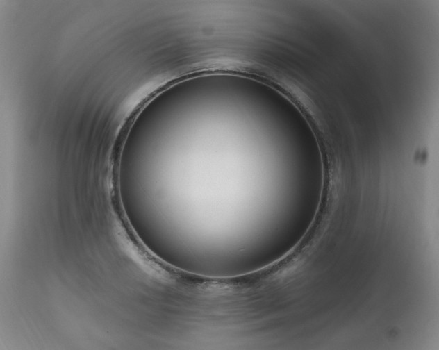 X0000111021034200906191647